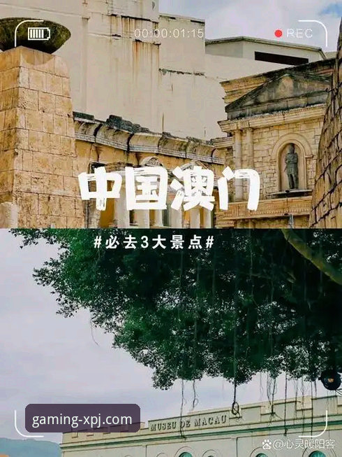 新手如何找到新普京正版入口并轻松开启娱乐之旅？